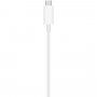 prvotni Apple polnilnik s podporo za pritrditev MagSafe