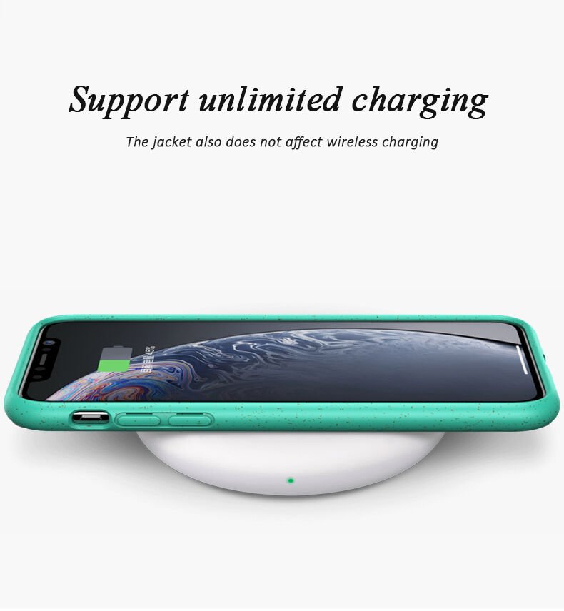 Mat ekološko razgradljiv ovitek za iPhone 11 Pro Max - črna