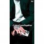 PanzerGlass ClearCase antibakterijski ovitek za Apple iPhone 12 Pro Max - zelena