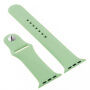 Silikonski trak s silikonskim etuijem za Apple Watch 41mm / 40mm - zelen