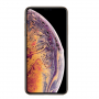 NXE pokrov s steklenim hrbtom za iPhone XS Max - Pariz
