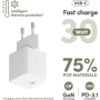 PanzerGlass empower Turbo GaN hitri polnilni adapter z USB-C priključkom - 30W - bel